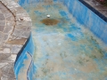 Empty pool before restoration