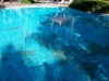 Daydream Island Resort with pool showing worn and faded coating.