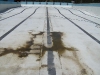 Picton Olympic Pool  origianal condition